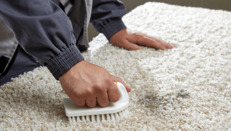 Professional Rug Cleaning Little River